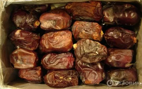 خرما مضافتی بم با پیشینه نخلستانی دیرینه و کیفیت ضمانت شده